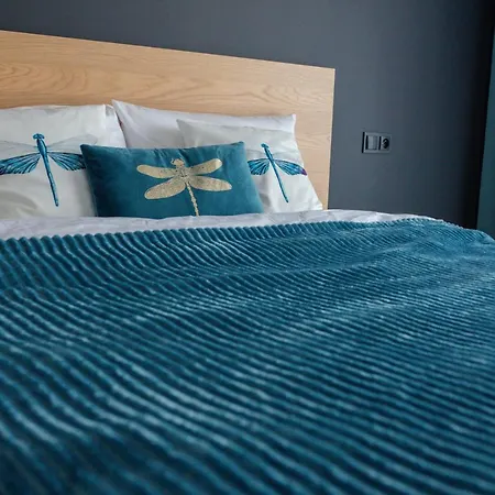 Апартаменты Aleksandra Дзивнув